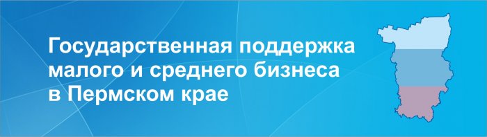 Государственная поддержка малого и среднего бизнеса в Пермском крае